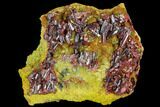 Realgar Crystals on Yellow-Orange Orpiment - Peru #110172-1